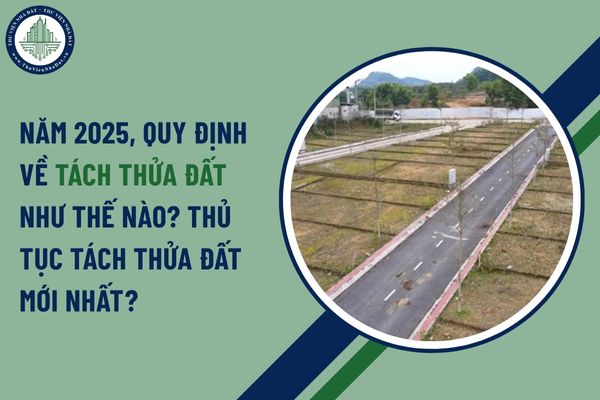 Năm 2025, Quy định về tách thửa đất như thế nào? Thủ tục tách thửa đất mới nhất?