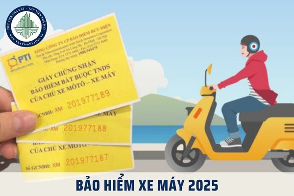 Bảo hiểm xe máy 2025 bao nhiêu tiền? Bảo hiểm xe máy 2025 giá bao nhiêu?