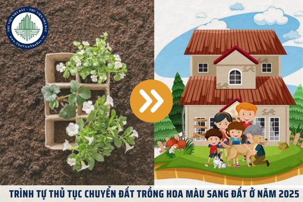 Trình tự thủ tục chuyển đất trồng hoa màu sang đất ở năm 2025