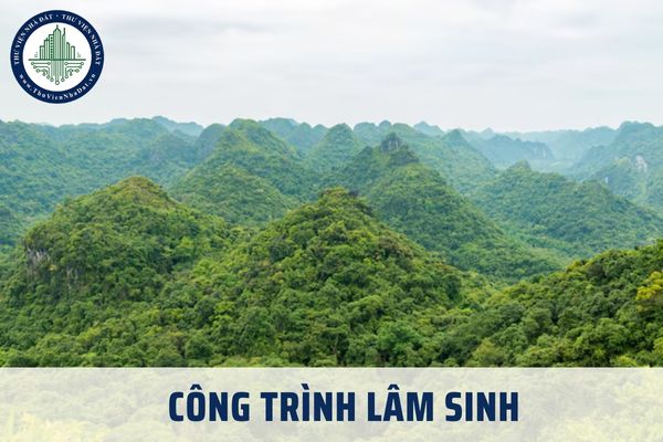 Công trình lâm sinh tạo thành từ đâu? Cơ quan nào thẩm định công trình lâm sinh sử dụng vốn đầu tư công?