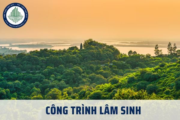 Công trình lâm sinh được hiểu như thế nào? Bản đồ thiết kế công trình lâm sinh sử dụng kinh phí ngân sách nhà nước được xây dựng ra sao?