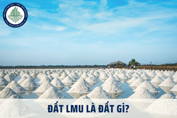 Đất LMU là đất gì? Đất LMU thuộc nhóm đất nào theo pháp luật hiện hành?