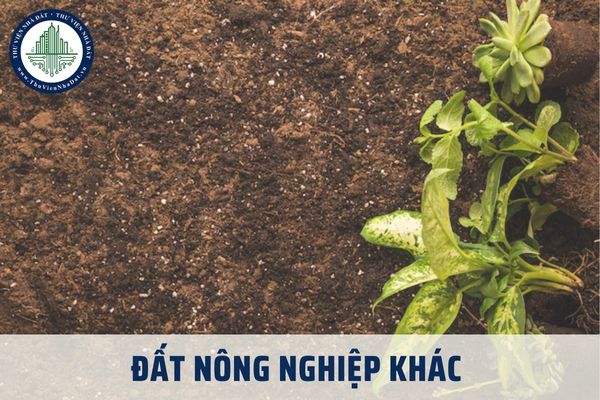 Đất nông nghiệp khác được ký hiệu là NKH theo quy định hiện hành đúng không?