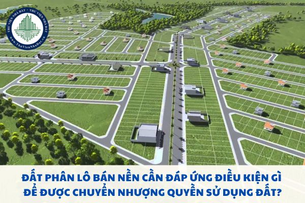 Đất phân lô bán nền cần đáp ứng điều kiện gì để được chuyển nhượng quyền sử dụng đất?