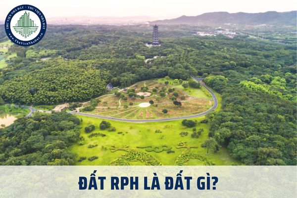 Đất RPH là đất gì? Đất RPH thuộc nhóm đất nào theo quy định Luật Đất đai 2024?