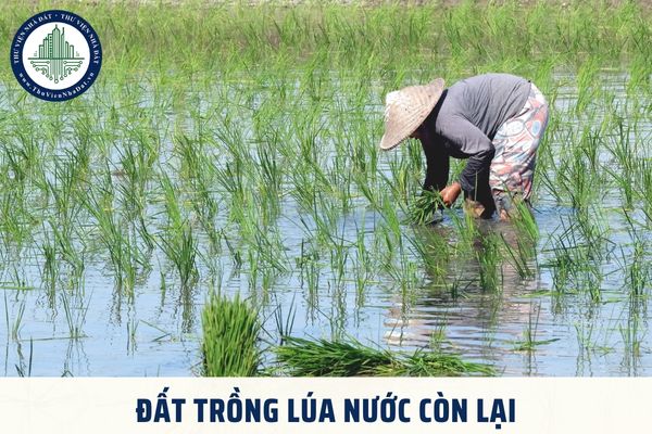 Đất trồng lúa nước còn lại được ký hiệu trên bản đồ địa chính là LUK đúng không?