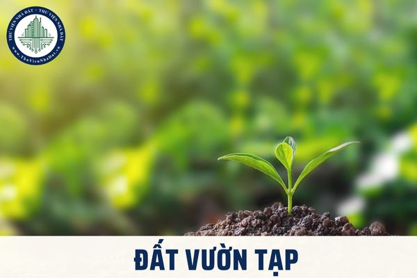 Đất vườn tạp được hiểu như thế nào? Thời hạn sử dụng của đất vườn tạp là bao nhiêu năm?