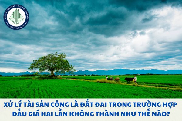 Xử lý tài sản công là đất đai trong trường hợp đấu giá hai lần không thành như thế nào?