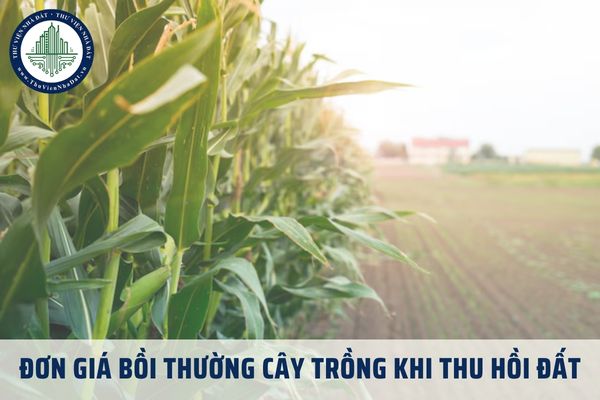 Quyết định 38 quy định đơn giá bồi thường cây trồng khi thu hồi đất tại tỉnh Kiên Giang