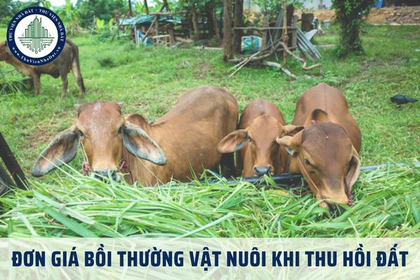 Đơn giá bồi thường vật nuôi khi thu hồi đất tỉnh Kiên Giang theo Quyết định 38