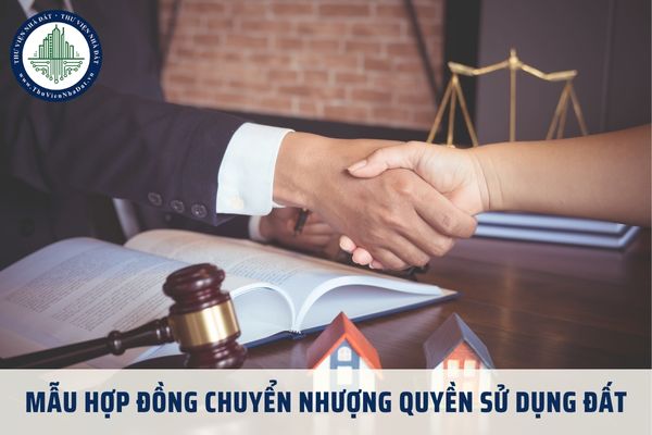 Mẫu Hợp đồng chuyển nhượng quyền sử dụng đất mới nhất 2025? Tải về Hợp đồng chuyển nhượng quyền sử dụng đất file word