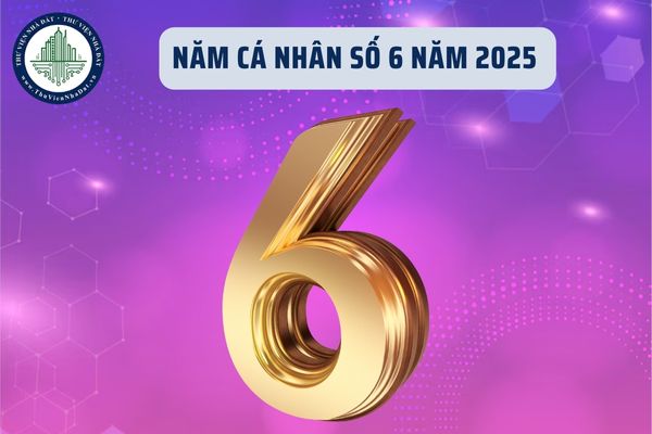 Năm cá nhân số 6 năm 2025 có tác động như thế nào đối với các số chủ đạo?