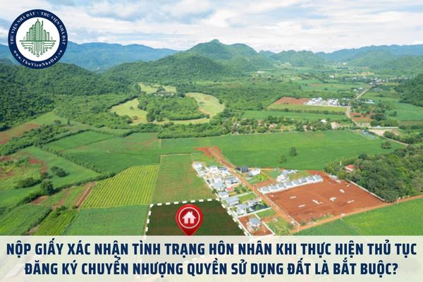 Nộp Giấy xác nhận tình trạng hôn nhân khi thực hiện thủ tục đăng ký chuyển nhượng quyền sử dụng đất là bắt buộc?