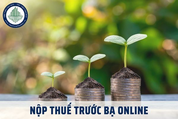 Nộp thuế trước bạ online được không? Nộp thuế trước bạ nhà đất 2025 ở đâu?