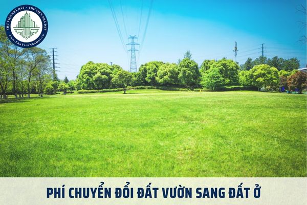 Phí chuyển đổi đất vườn sang đất ở năm 2025? Chuyển đổi đất vườn sang đất ở căn cứ vào đâu?