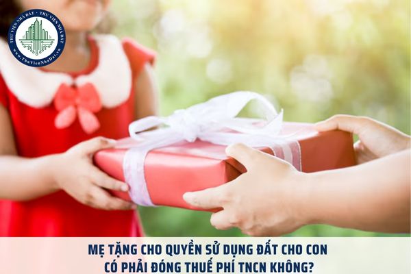 Mẹ tặng cho quyền sử dụng đất cho con có phải đóng thuế phí TNCN không?