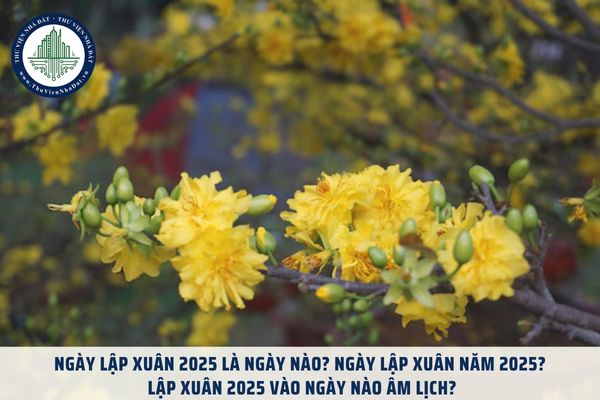 Ngày lập xuân 2025 là ngày nào? Ngày lập xuân năm 2025? Lập xuân 2025 vào ngày nào âm lịch?