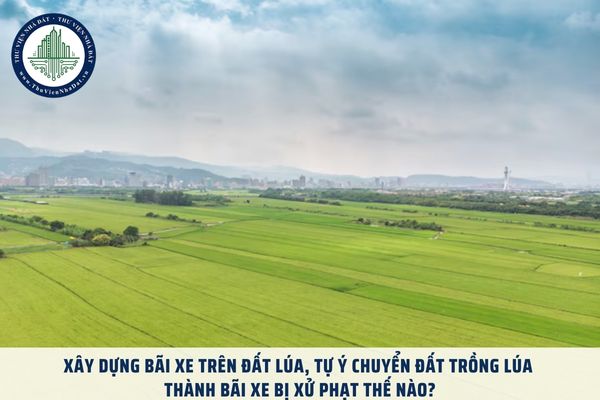 Xây dựng bãi xe trên đất lúa, tự ý chuyển đất trồng lúa thành bãi xe bị xử phạt thế nào?