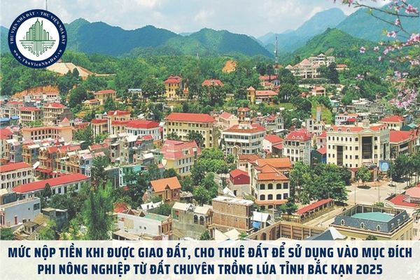 Mức nộp tiền khi được giao đất, cho thuê đất để sử dụng vào mục đích phi nông nghiệp từ đất chuyên trồng lúa tỉnh Bắc Kạn 2025