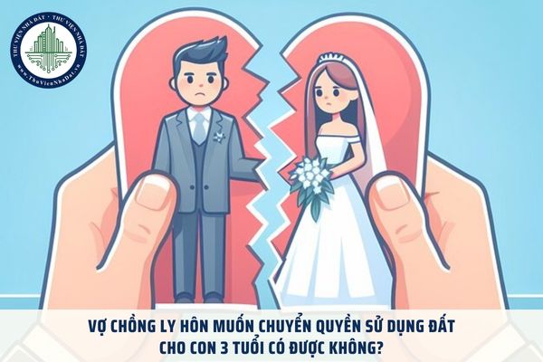 Vợ chồng ly hôn muốn chuyển quyền sử dụng đất cho con 3 tuổi có được không?