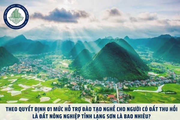 Theo Quyết định 01 mức hỗ trợ đào tạo nghề cho người có đất thu hồi là đất nông nghiệp tỉnh Lạng Sơn là bao nhiêu?