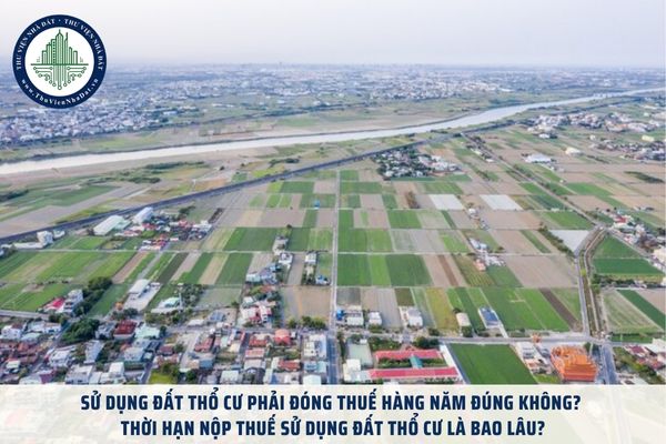 Sử dụng đất thổ cư phải đóng thuế hàng năm đúng không? Thời hạn nộp thuế sử dụng đất thổ cư là bao lâu?