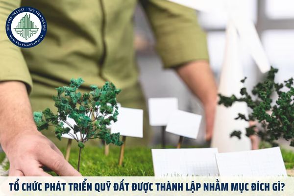 Tổ chức phát triển quỹ đất được thành lập nhằm mục đích gì?