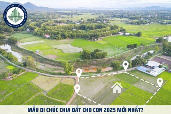 Mẫu di chúc chia đất cho con 2025 mới nhất? Di chúc chia đất cho con có hiệu lực từ khi nào?