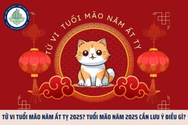 Tử vi tuổi Mão năm Ất Tỵ 2025? Tuổi Mão năm 2025 cần lưu ý điều gì?