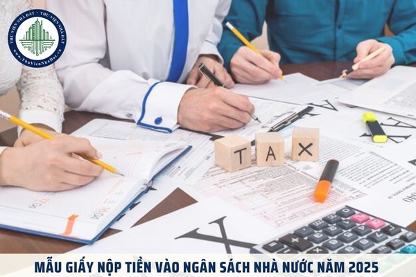 Mẫu giấy nộp tiền vào ngân sách nhà nước năm 2025 là mẫu nào?