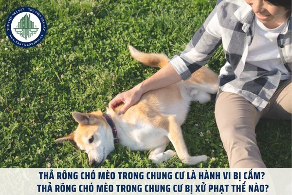 Thả rông chó mèo trong chung cư là hành vi bị cấm? Thả rông chó mèo trong chung cư bị xử phạt thế nào?