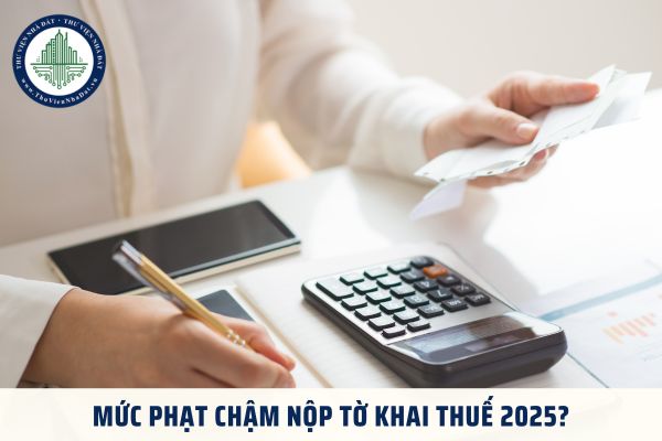 Mức phạt chậm nộp tờ khai thuế 2025?