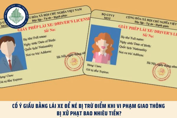 Cố ý giấu bằng lái xe để né bị trừ điểm khi vi phạm giao thông bị xử phạt bao nhiêu tiền?