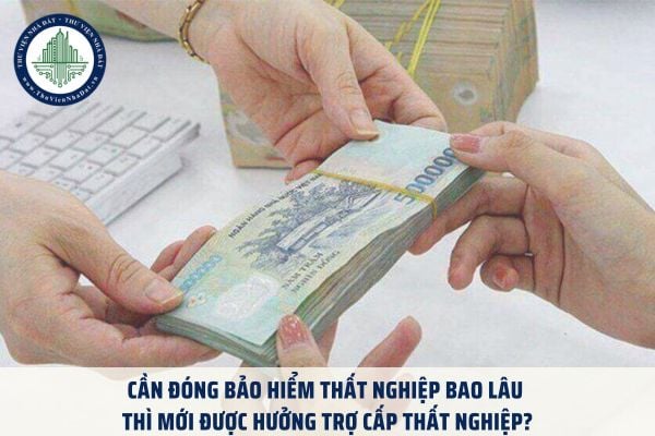 Cần đóng bảo hiểm thất nghiệp bao lâu thì mới được hưởng trợ cấp thất nghiệp?