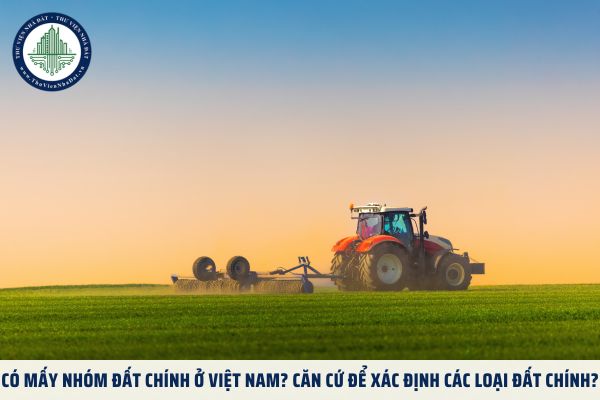 Có mấy nhóm đất chính ở Việt Nam? Căn cứ để xác định các loại đất chính?