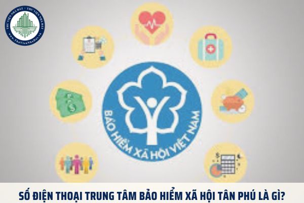 thuviennhadat.vn