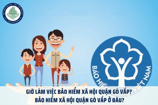 Giờ làm việc Bảo hiểm xã hội quận Gò Vấp? Bảo hiểm xã hội quận Gò Vấp ở đâu?