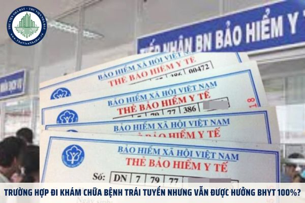 thuviennhadat.vn