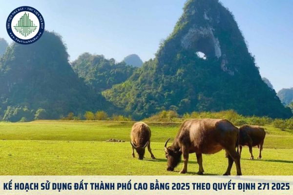 Kế hoạch sử dụng đất thành phố Cao Bằng 2025 theo Quyết định 271 2025