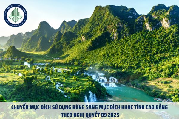 Chuyển mục đích sử dụng rừng sang mục đích khác tỉnh Cao bằng theo Nghị quyết 09 2025