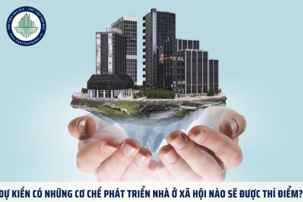 Dự kiến có những cơ chế phát triển nhà ở xã hội nào sẽ được thí điểm?