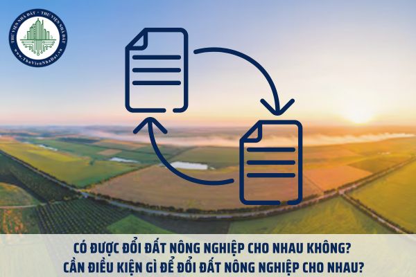 Có được đổi đất nông nghiệp cho nhau không? Cần điều kiện gì để đổi đất nông nghiệp cho nhau?