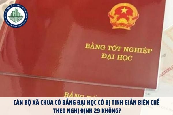 Cán bộ xã chưa có bằng đại học có bị tinh giản biên chế theo Nghị định 29 không?