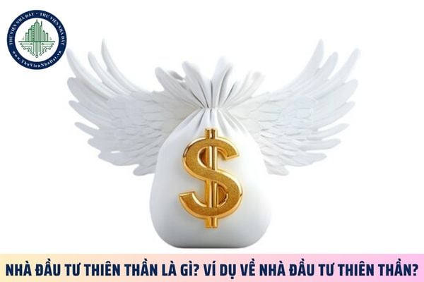 thuviennhadat.vn
