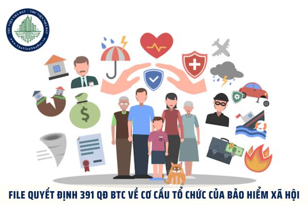 File Quyết định 391 QĐ BTC về cơ cấu tổ chức của bảo hiểm xã hội