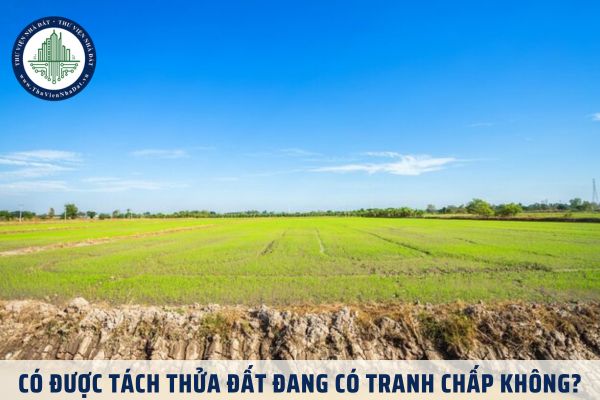 Có được tách thửa đất đang có tranh chấp không?