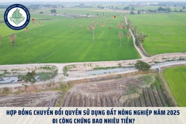 Hợp đồng chuyển đổi quyền sử dụng đất nông nghiệp năm 2025 đi công chứng bao nhiêu tiền?