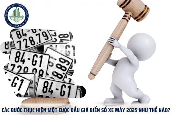 Các bước thực hiện một cuộc đấu giá biển số xe máy 2025 như thế nào?