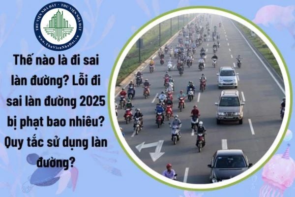 Thế nào là đi sai làn đường? Lỗi đi sai làn đường 2025 bị phạt bao nhiêu? Quy tắc sử dụng làn đường?