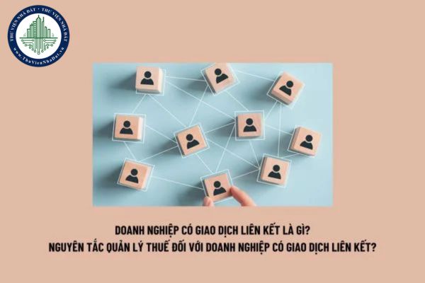 Doanh nghiệp có giao dịch liên kết là gì? Nguyên tắc quản lý thuế đối với doanh nghiệp có giao dịch liên kết theo Nghị định 132?